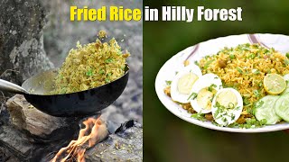 Fried Rice with Boiled Egg in Hilly Forest Outdoor Cooking  ASMR VIDEO [upl. by Arenat]