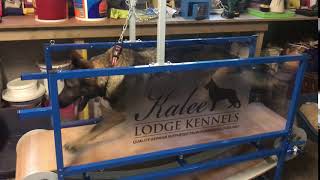 Firepaw Standard Dog Treadmill at Kalee Lodge German Shepherd Kennels UK [upl. by Maribeth]