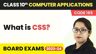 Class 10 Computer Applications Cha 5  What is CSS  Cascading Style Sheets Code 165 202223 [upl. by Leva]