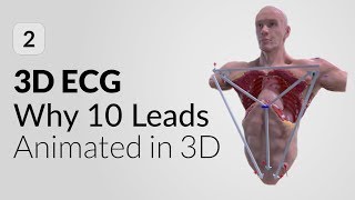 10 lead vs 12 lead ECG explained in 3D  3D ECG mobile App [upl. by Aicilav]