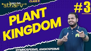 Plant Kingdom Class 11 Biology NCERT Chapter 3 3  Gymnosperms Angiosperms  Atharv Batch [upl. by Eiznikam]