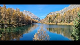 Indian Summer Albula Region [upl. by Manley]