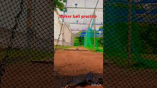 Yorker ball practice 🏏 subscribe please my YouTube channel 🙏cricket [upl. by Zita]