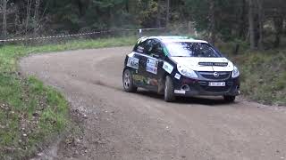 Waldviertel Rallye 2017 Rene RiederAnton Pichler [upl. by Pape]