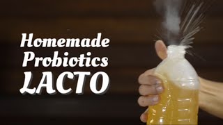 How to make Probiotics LACTO [upl. by Doowron]