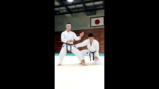 Be strong with the correct posture【Budo Karate】 [upl. by Aneri]