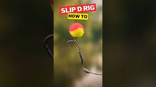 Quick Guide Slip D Rig for Carp Fishing [upl. by Enitsirc]