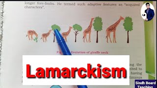 Lamarckism Theory of Inheritance of Acquired Characters Lecture 7 [upl. by Oisangi93]