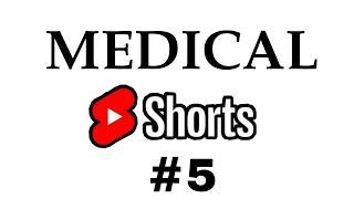 SACRUM  VERTEBRAL COLUMN medicoverse medical mbbs shorts medicalshorts [upl. by Meit]