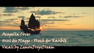 Lemi Fluch der Karibik 3Hisst die Flagge German Cover [upl. by Hairahcez]