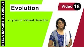 Evolution  NEET  Types of Natural Selection  Neela Bakore Tutorials [upl. by Alistair]