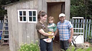 Building an Allotment Shed from Recycled Materials [upl. by Hezekiah]