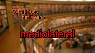 What does mediolateral mean [upl. by Ydoow]