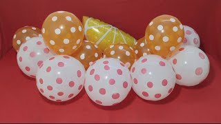 FUN MYLAR BALLOON AND LOTS OF DOTTED BALLOONS BLOWING AND POPPING l SATISFYING VIDEO [upl. by Atiek]