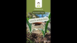 Für einen langen zarten Schaft Porree anhäufeln Garten KompaktTipp Gartenmoni Shorts [upl. by Llenoil285]