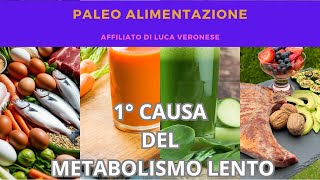 24 La prima causa del METABOLISMO LENTO [upl. by Occer581]