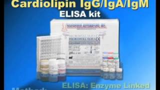 Cardiolipin IgG IgA IgM ELISA kit [upl. by Eserehs]