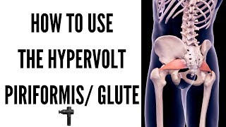 How to use massage gun Piriformis and Glute  Hypervolt Techniques [upl. by Nelrah]