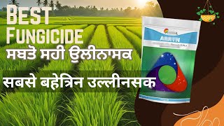 Best fungicide for vegitables  Swal Arryan bestfungicide arryan dashmeshpesticides krishi [upl. by Catharina]