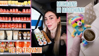 MUKBANG IN MACCHINA  FINALMENTE HO TROVATO PROZIS 🤯  VLOG 100524 [upl. by Fougere83]