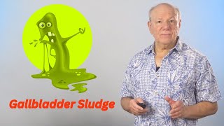 Navigating Gallbladder Sludge [upl. by Neemsay544]