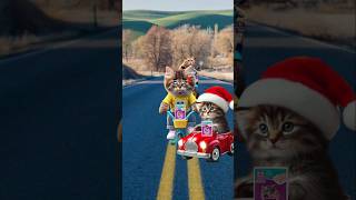 Cute cats and kittens always take my whiskas catvideos cutecats catlover trendingshorts [upl. by Naivaf]