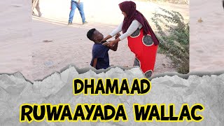 Ruwaayad Walac amp Wareer DHAMAAD 2024 [upl. by Esinyl]