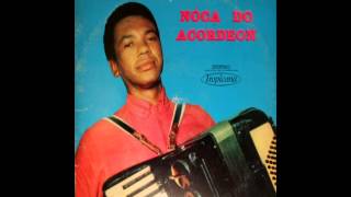 Noca do Acordeon toca BAIÃO DA SAUDADE de Noca do Acordeon e Leonel Cruz  1961 [upl. by Eenitsed]