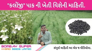 કલોંજી પાક ની ખેતી વિશેની માહિતી  BOMBAY SUPER [upl. by Sanoy]