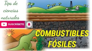 Combustibles fósiles [upl. by Eelrak647]