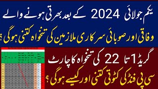 Salary Chart Newly Appointed Employees 202425 Federal Punjab and Sindh  BPS 1 to 22 pay scale [upl. by Dutchman]