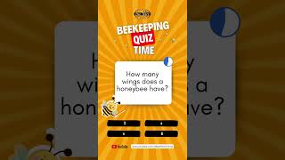 Beekeeping Quiz  How Many Wings Does A Bee Have beekeeping bees bees101 quiztime [upl. by Jedidiah]