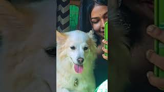 My happiness😚🐾like comment subscribemychannel doglover [upl. by Glennon]