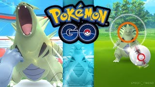 Mein erster Raid gegen Despotar  Gefangen oder geflüchtet  Pokémon GO Deutsch 339 [upl. by Brooke]