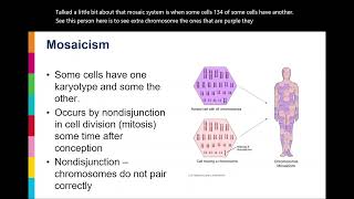 Karyotypes Explained [upl. by Naamana497]