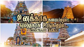 🔯MURUGAN● 💥WHATAPP ●📿STATUS♥️🐓 உனக்காக✴️ கரையனும்🌺 மெழுகாக 🔥உருகனும்📿 [upl. by Brote844]