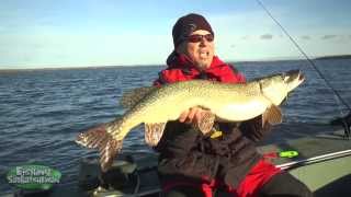 Trolling for Fall Northern Pike on Tobin Lake on Fishing Saskatchewan [upl. by Anik]