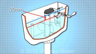 Water quality in your home  toilet cistern inlet and overflow [upl. by Erdried]