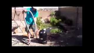 Backyard Bass Pond Pond maintenance using the Pond Vacuum XPV [upl. by Ardnohsal]