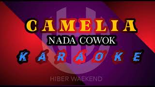 CAMELIA  karaoke nada pria  RHOMA IRAMA [upl. by Yblek]