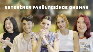 Veteriner Hekimliği І Veteriner fakültesinde öğrenci olmak [upl. by Haleemak]