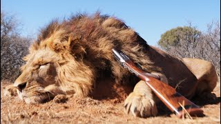 MASSIVE LION AND 45quot BUFFALO HUNT WITH CHICO amp SONS  TSESSEBE SAFARIS [upl. by Arzed48]