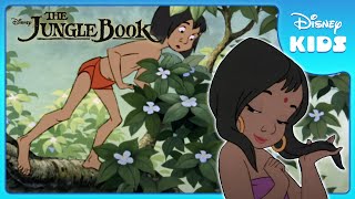 Mowgli Finds the Man Village 🏡  Jungle Book  Disney Kids [upl. by Bower]