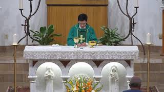 VN Mass 700 PM Twenty Nineth Sunday In Ordinary Time [upl. by Adorne]