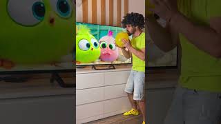 CRAZY CARTOON MOMENTS  ANGRY BIRDS 2 cartoons angrybirds [upl. by Meara595]