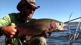 Panguitch Lake 2019 July Fishing Report part 1 [upl. by Chamberlain]