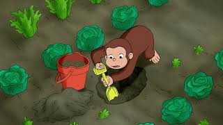 Curioso Come George ðŸµ George esplora ðŸµCartoni per Bambini [upl. by Aled]