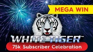 White Tiger Slot  MEGA WIN SESSION  INCREDIBLE RETRIGGER [upl. by Deonne561]