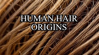 Human Hair Began in This Way The Unexpected Origin Story [upl. by Stenger]