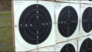 Massive 22lr Ammo Test  Ruger Charger [upl. by Isia]